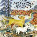 Incredible Journey