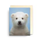 Polar Bear By Lagom