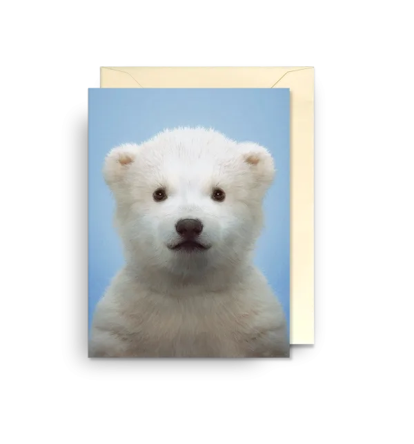 Polar Bear By Lagom