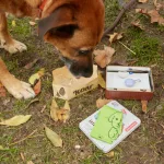 Dog Hiking Kit By Kikkerland