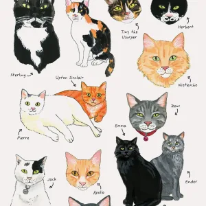 Bibliophile Flexi Journal: Bookstore Cats by Jane Mount