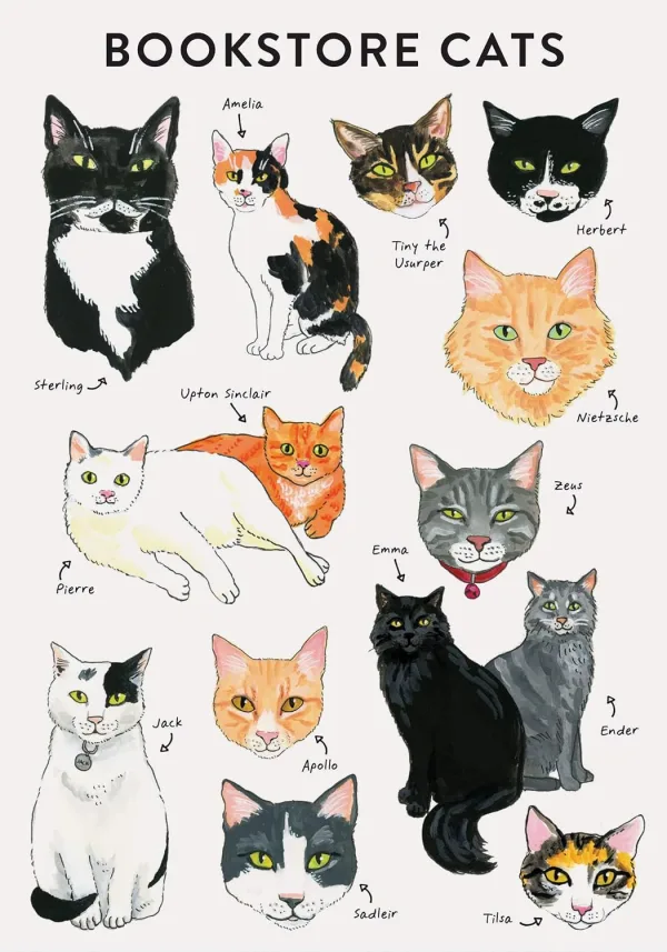 Bibliophile Flexi Journal: Bookstore Cats by Jane Mount