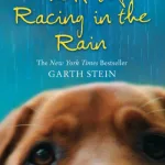 The Art Of Racing In The Rain By Garth Stein