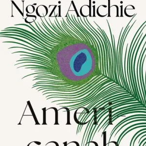 Americanah By Chimamanda Ngoz Adichie