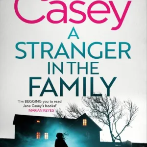 A Stranger In The Family By Jane Casey
