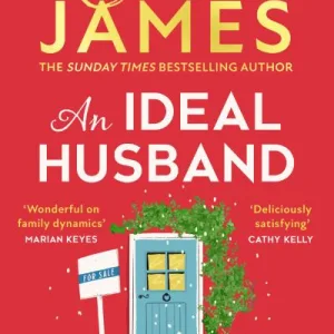 An Ideal Husband By Erica James