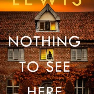 Nothing To See Here By Susan Lewis