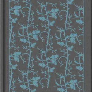 Wuthering Heights By Emily Bront?