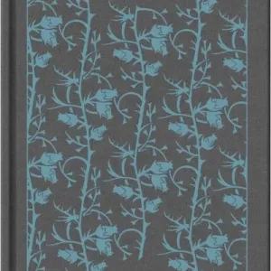 Wuthering Heights By Emily Bront?