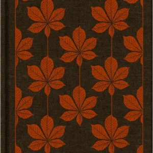 Jane Eyre By Charlotte Bront?