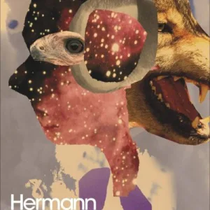 Steppenwolf By Hermann Hesse