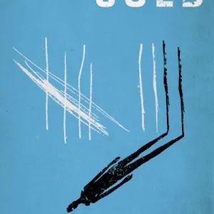 Stone Cold By Robert E. Swindells