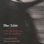 The Tain By Thomas Kinsella