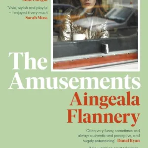 The Amusements By Aingeala Flannery