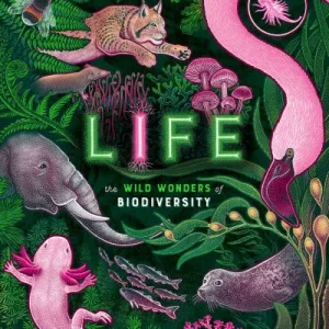 Life By Jennifer Smith
