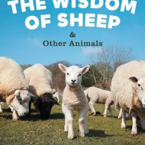 The Wisdom Of Sheep & Other Animals By Rosamund Young