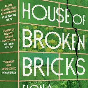 The House Of Broken Bricks By Fiona Williams