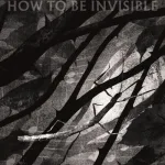 How to be invisible  by Kate Bush
