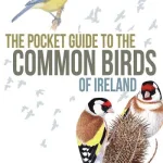 Pocket Guide To The Common Birds Of Ireland By Eric Dempsey