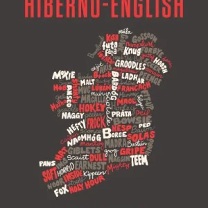 A Dictionary Of Hiberno English By T. P. Dolan