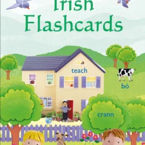 Usborne Everyday Words: Irish Flashcards By Felicity Brooks
