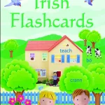 Usborne Everyday Words: Irish Flashcards By Felicity Brooks