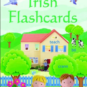 Usborne Everyday Words: Irish Flashcards By Felicity Brooks
