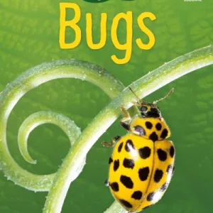Bugs By Lucy Bowman