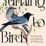 Turning To Birds By Lili Taylor