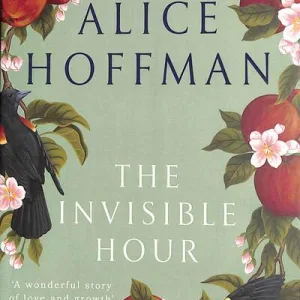 The Invisible Hour By Alice Hoffman