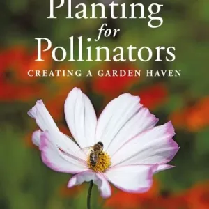 Planting For Pollinators By Heather Angel