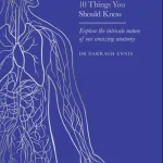 The Body By Darragh Ennis