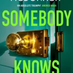 Somebody Knows By Michelle Mcdonagh