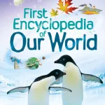 Our World by Felicity Brooks