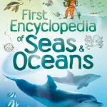 First Encyclopedia Of Seas & Oceans By Ben Denne