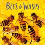 Bees And Wasps By James Maclaine