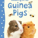Looking After Guinea Pigs By Laura Howell
