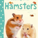 Looking After Hamsters