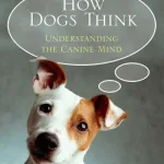 How Dogs Think