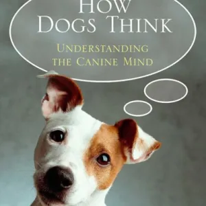 How Dogs Think