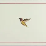 Hummingbird Flight Note Cards By Peter Pauper