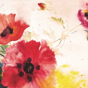 Watercolour Poppies Note Cards By Peter Pauper
