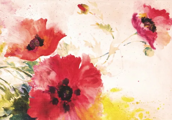 Watercolour Poppies Note Cards By Peter Pauper
