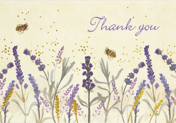 Lavender & Honey Note Cards By Peter Pauper