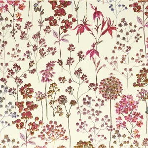 Wildflower Meadow Note Cards By Peter Pauper