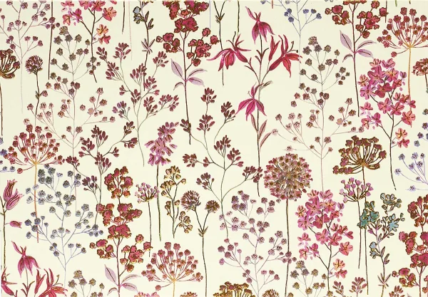 Wildflower Meadow Note Cards By Peter Pauper