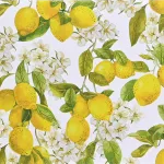 Amalfi Lemons Note Cards By Peter Pauper