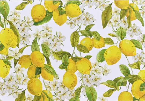 Amalfi Lemons Note Cards By Peter Pauper