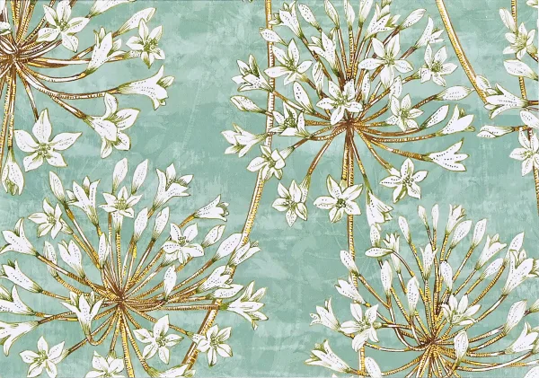 Allium Blossoms Note Cards By Peter Pauper