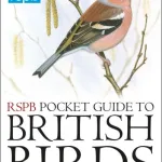 RSPB Pocket Guide to British Birds
